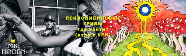 дурь Алзамай