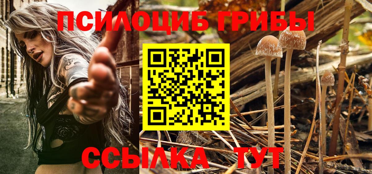 Галлюциногенные грибы MAGIC MUSHROOMS  наркота  Шуя  Галлюциногенные грибы Magic Shrooms  Вход с VPN 